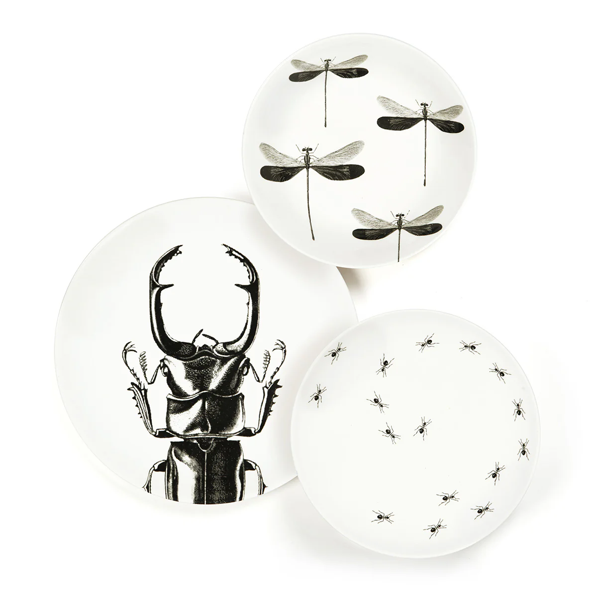Assiette à dessert - Fourmis - Image 2